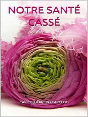 cover image of Notre Santé Cassé